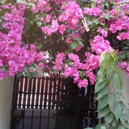 Alojamiento Alberto Magno Bed and Breakfast Santiago Buitenkant foto