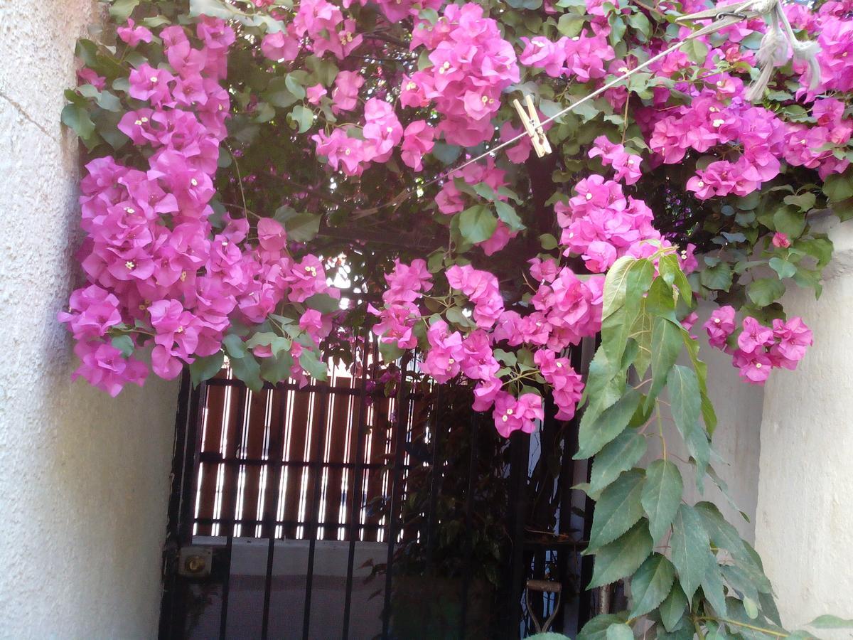 Alojamiento Alberto Magno Bed and Breakfast Santiago Buitenkant foto